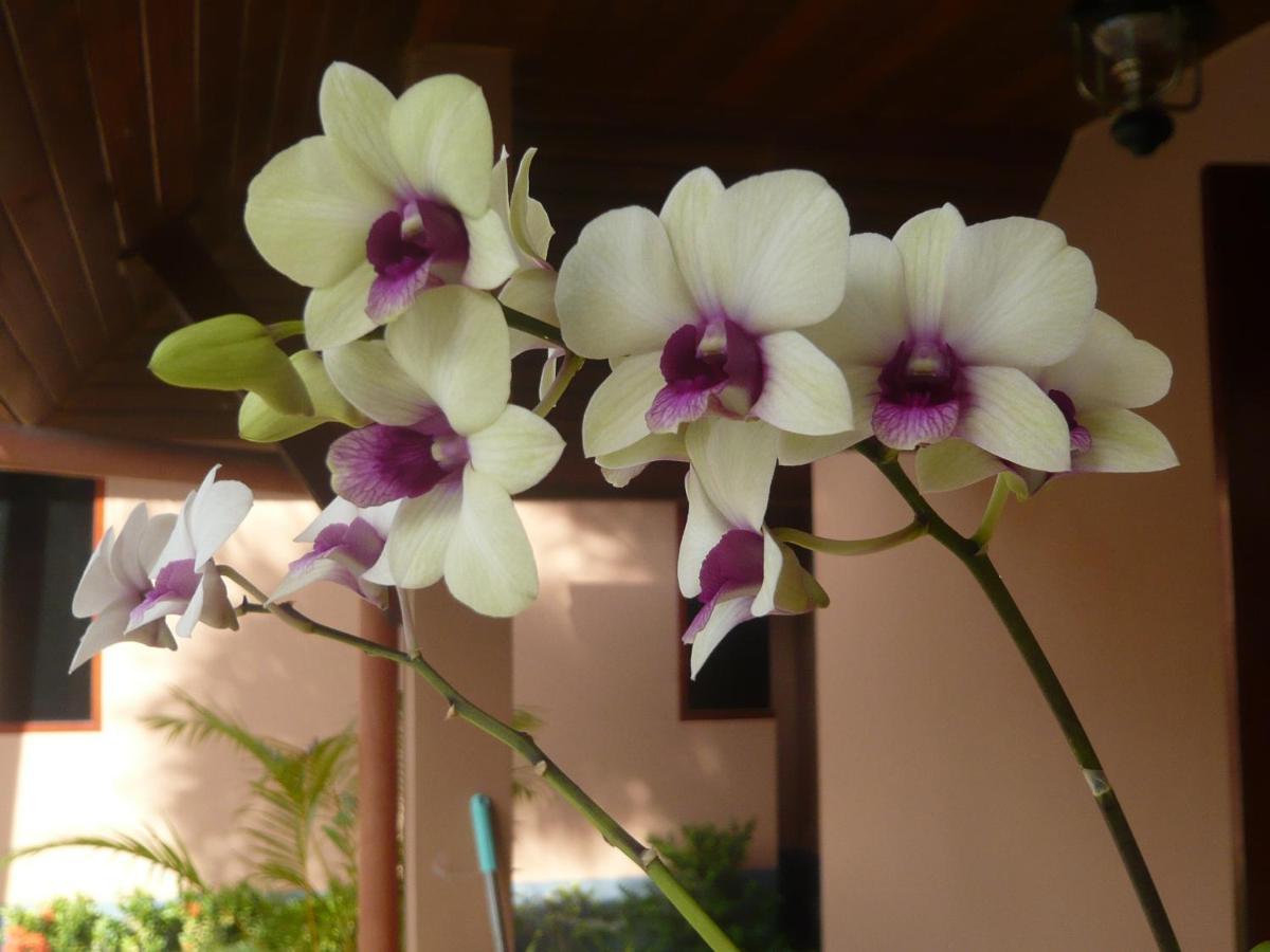 The Pace Phuket Boutique Resort Rawai Zewnętrze zdjęcie